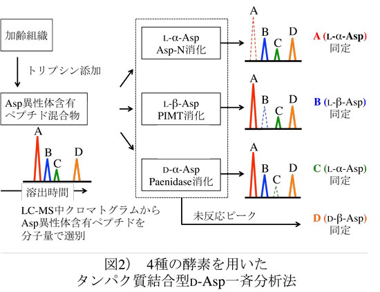 fig2